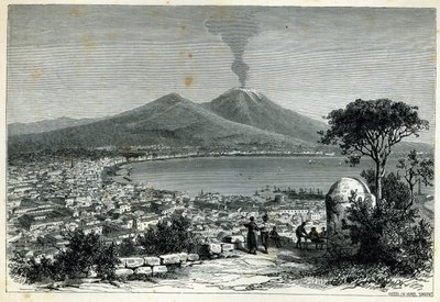 General View of Naples by English School